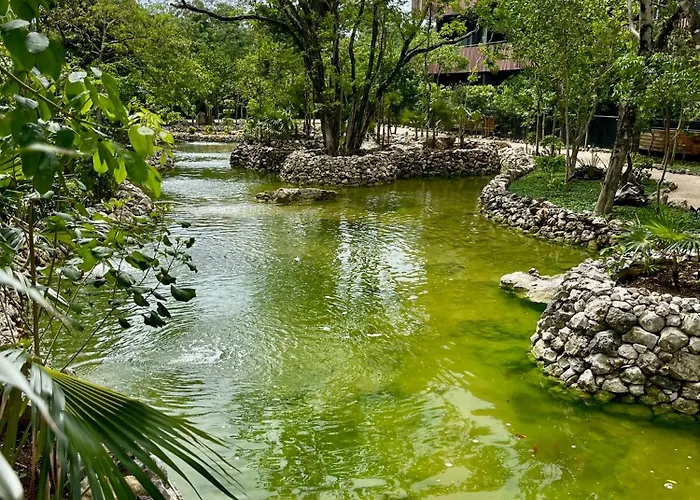 Luxury - Ocean View Pool - Steps From Exclusive Habitats Club *